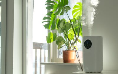 East Setauket Homeowners’ Guide to Indoor Air Quality and HVAC Services in 2024